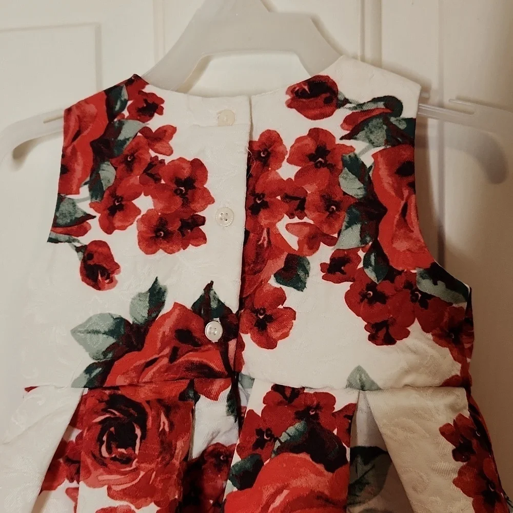 The Children's Place Cream Red Floral Dress Size 12-18M
